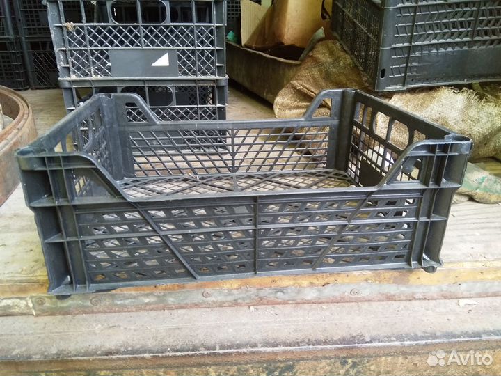 Ящики пластиковые для овощей и клубники