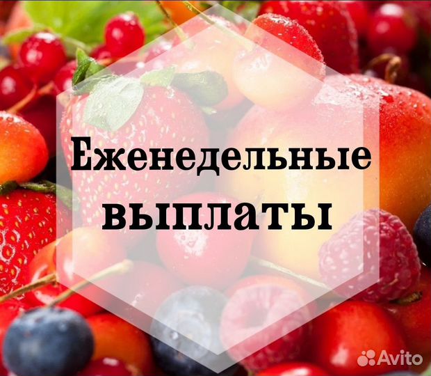 Продавец - кассир Еженедельные выплаты