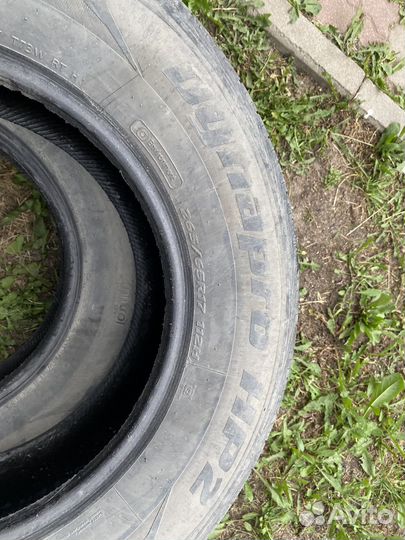 Шинылетние r17