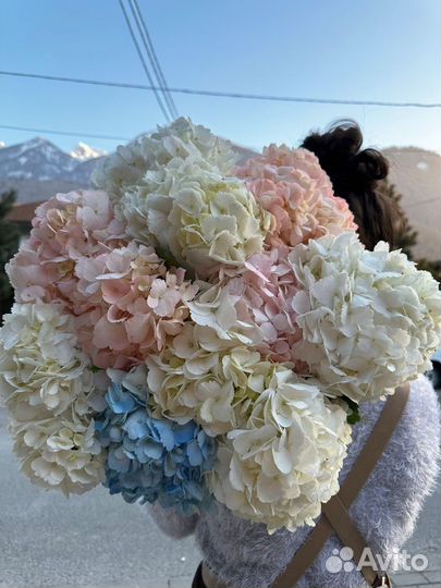 Живые цветы букеты