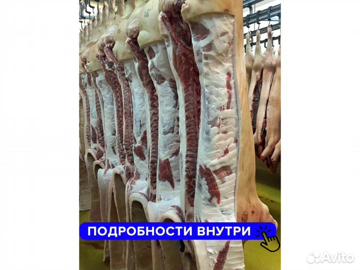 Свинина в полутушах оптом