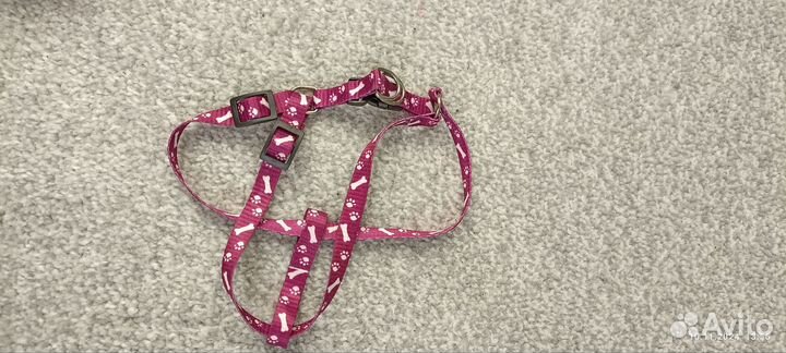 Игрушки для кошек, шлейка для кошек собачек