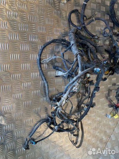 Проводка моторная Chevrolet Aveo T250 F14D3 2007