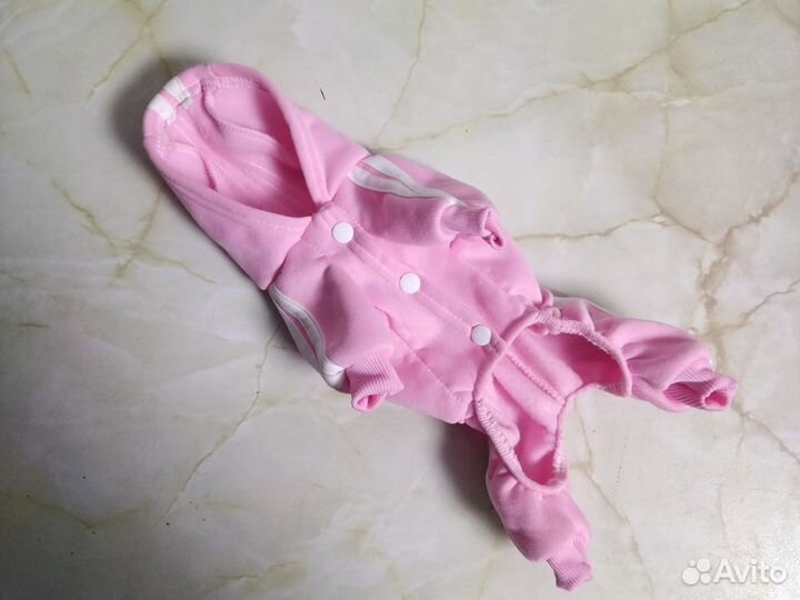 Одежда для кошек