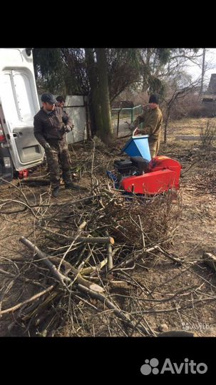 Аренда измельчителя веток,дробилка щепорез