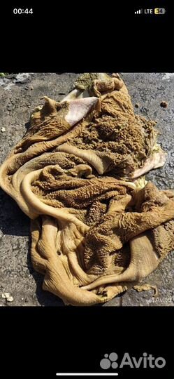 Рубец для собак