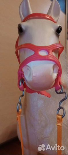 Большая пони