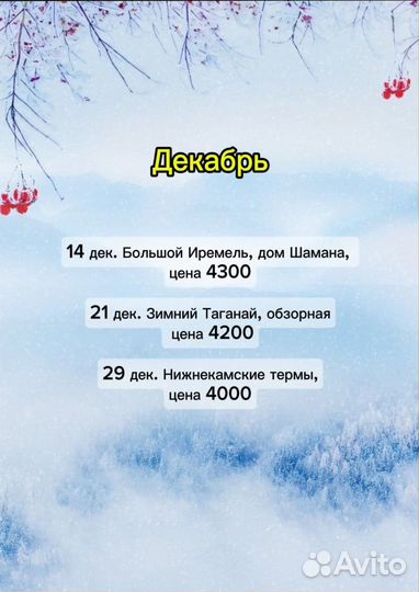 Расписание туров на Декабрь-февраль 2024/25