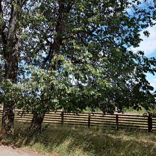 Участок 16,5 сот. (ИЖС)