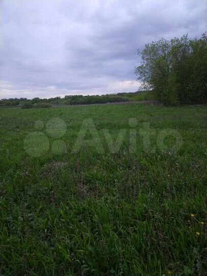 Участок 40 сот. (ИЖС)