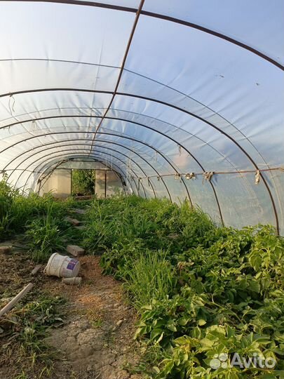 Теплицы и парники