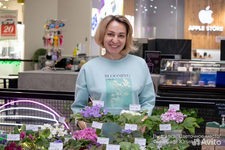 Фиалки Выставка трк Фокус 24 августа