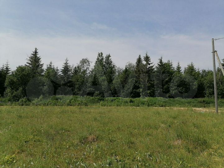 Участок 12 сот. (СНТ, ДНП)