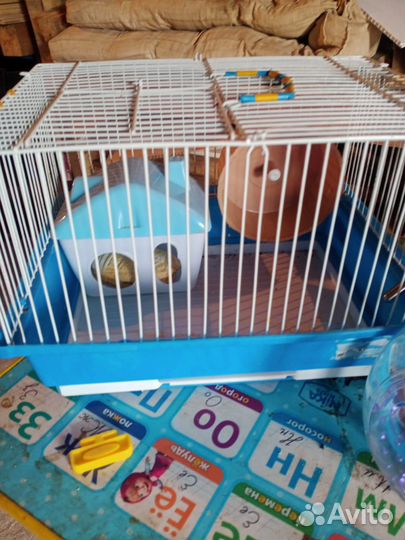 Клетки для грызунов