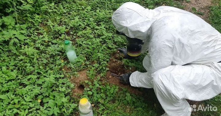 Уничтожение клещей, кротов, ос, тараканов, клопов