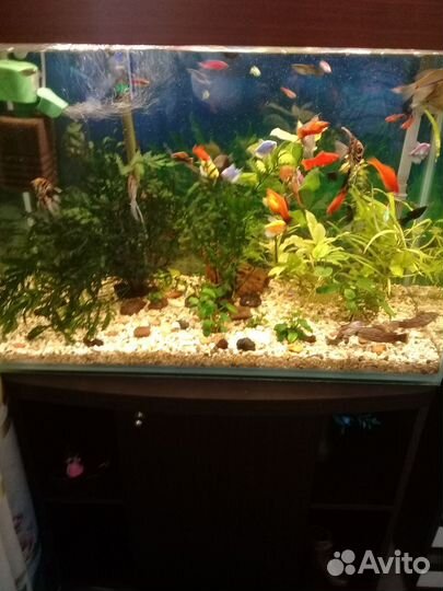 Аквариум