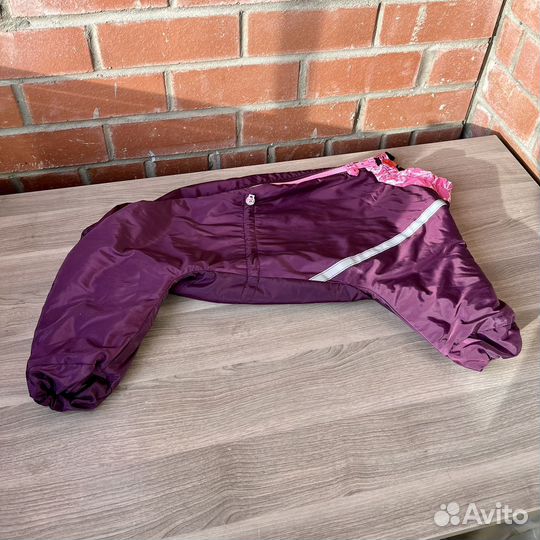 Комбинезон для собаки