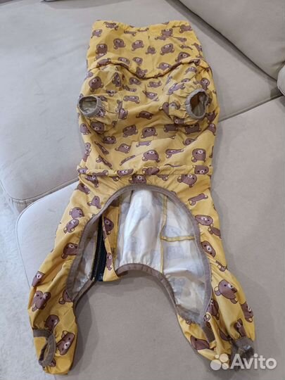 Комбинезон (дождевик) для кобеля корги