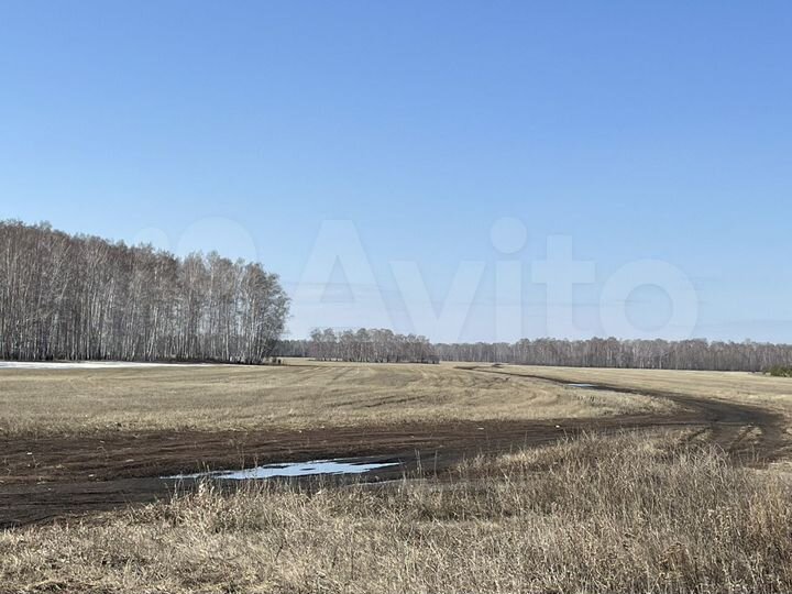 Участок 9,76 га (СНТ, ДНП)