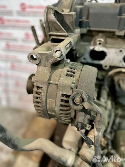 Двигатель контрактный shda Ford 1.6