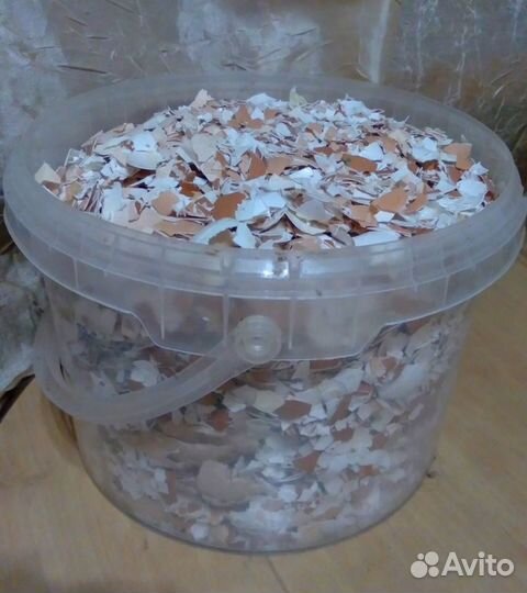 Яичная скорлупа