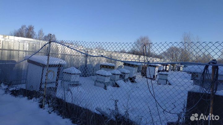 Продам ульи для пчел