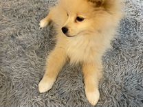 великие луки не работает телевидение. ул дружбы 31 великие луки. магазин свет великие луки. великие луки не работает телевидение. дружба 31 великие луки.