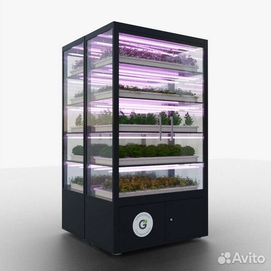 Шкаф для выращивния зелени исалатовбез земли