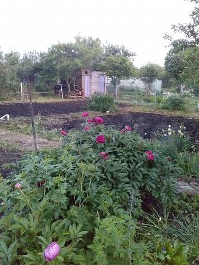 Дача 40 м² на участке 6 сот.