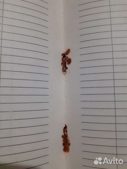 Почетная Грамота Благодарность мвд СССР