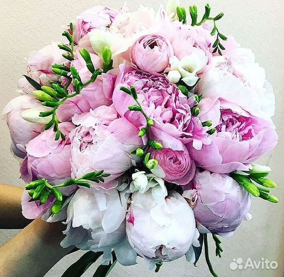 Пионы Цветы Доставка