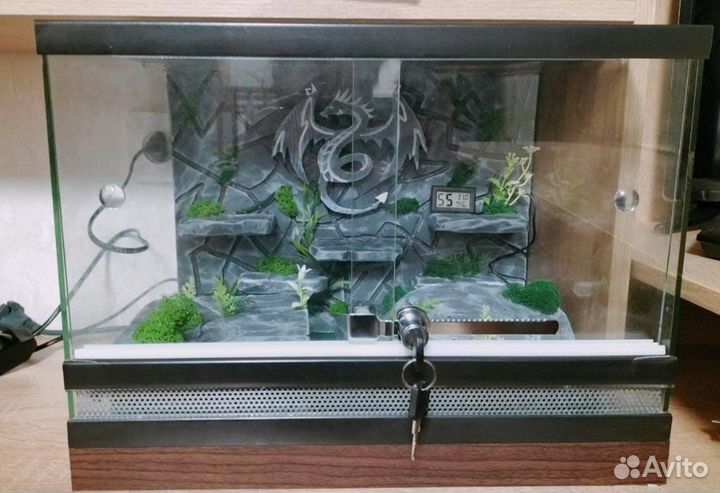 Новые террариумы для рептилий с оформлением