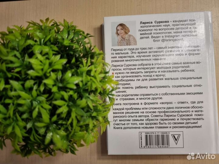 Лариса Суркова, Как здорово с ребенком от 1 до 3