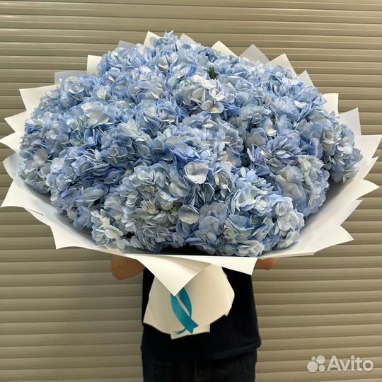 Гортензия / Доставка цветов / Букет цветов