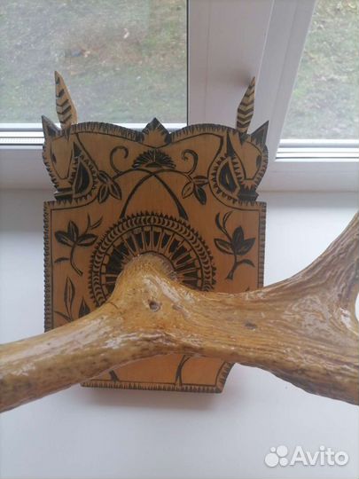 Продам рога лося