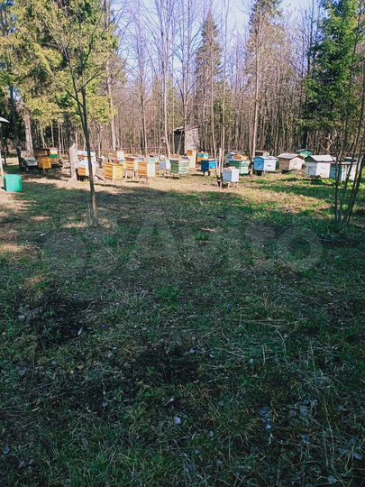 Участок 12,6 сот. (ИЖС)