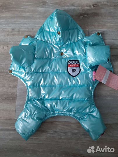 Одежда для маленьких собак