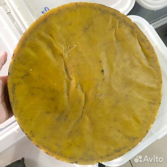 Мëд воск пыльца прополис перга в рамках