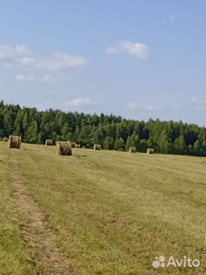 Сено в рулонах