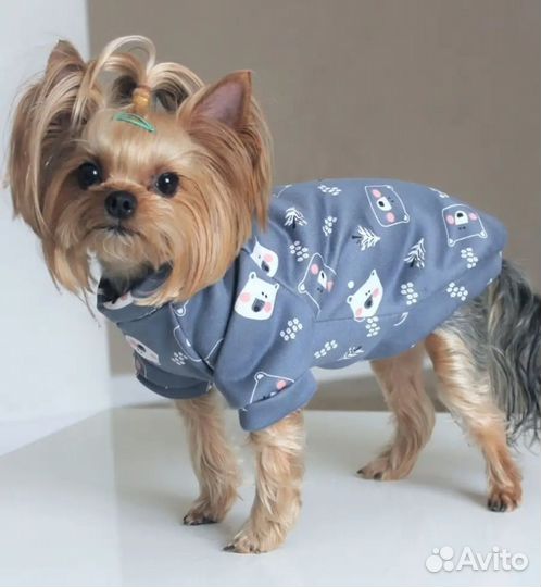 Толстовка для собак