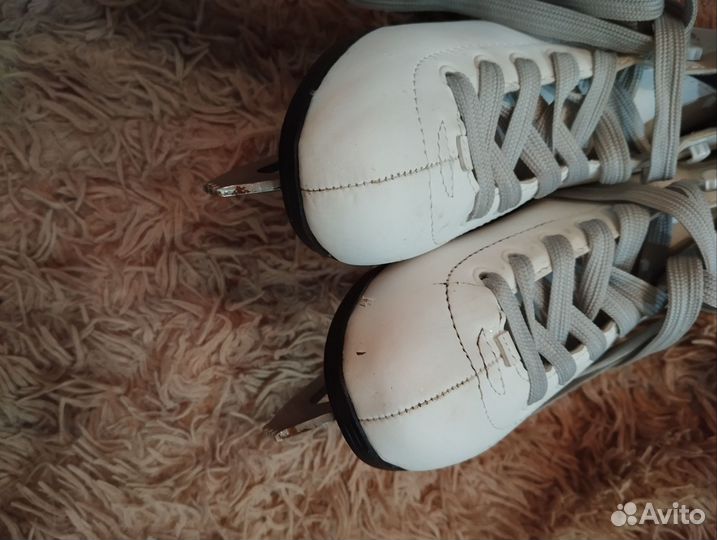 Коньки фигурные Sofia Nordway