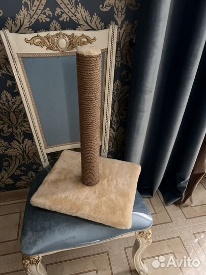 Когтеточка для кошек