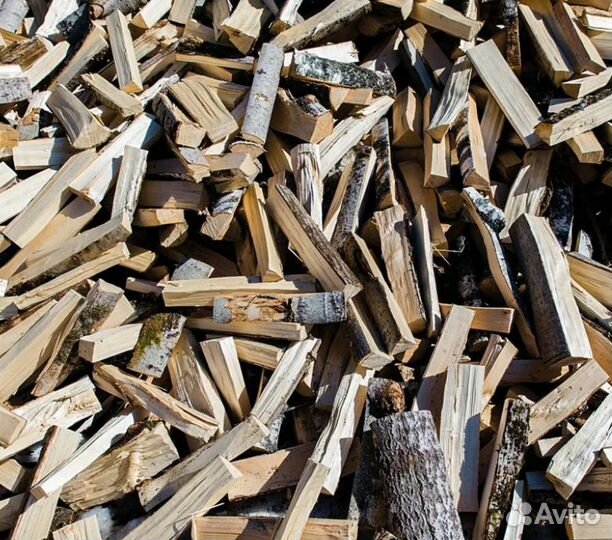 Дрова осина