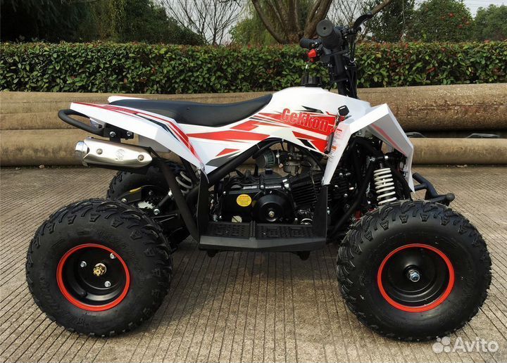 Детский квадроцикл Motax Gekkon бензиновый