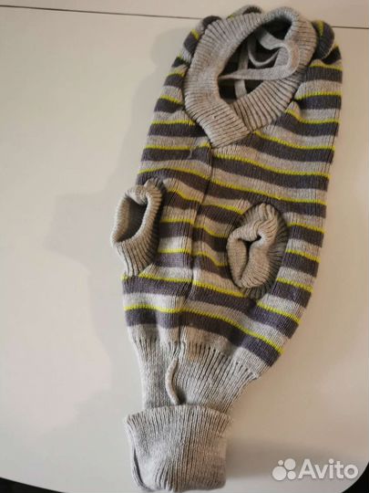 Одежда для средних собак