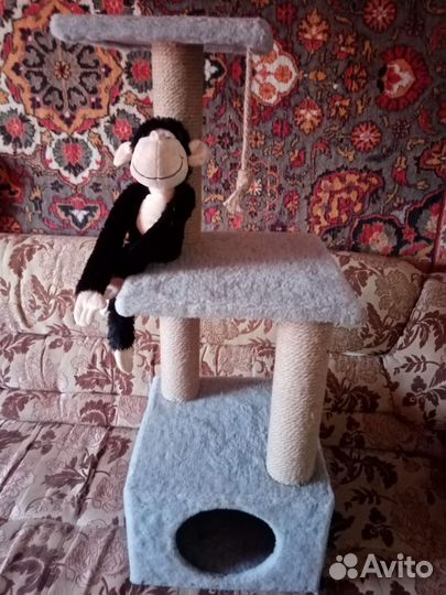 Домик когтеточка