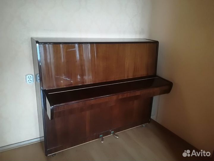 Панино Тверца