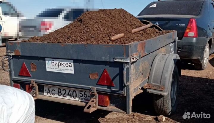 Коровяк Перегной