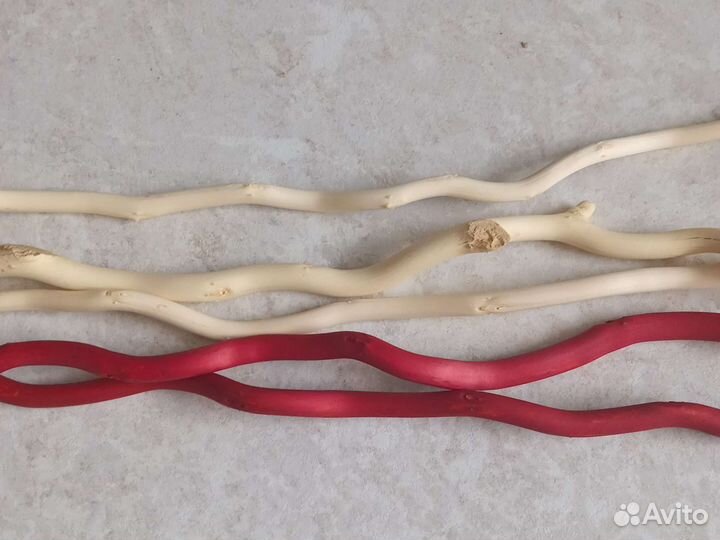 Корелиус 30 см