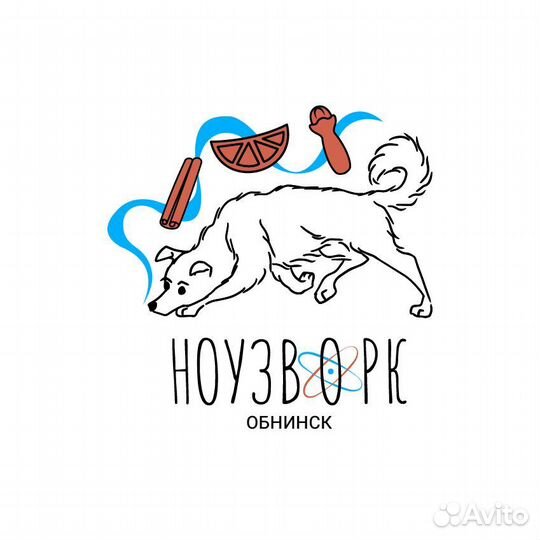 Занятия Ноузворк. Обучение собак поиску запахов